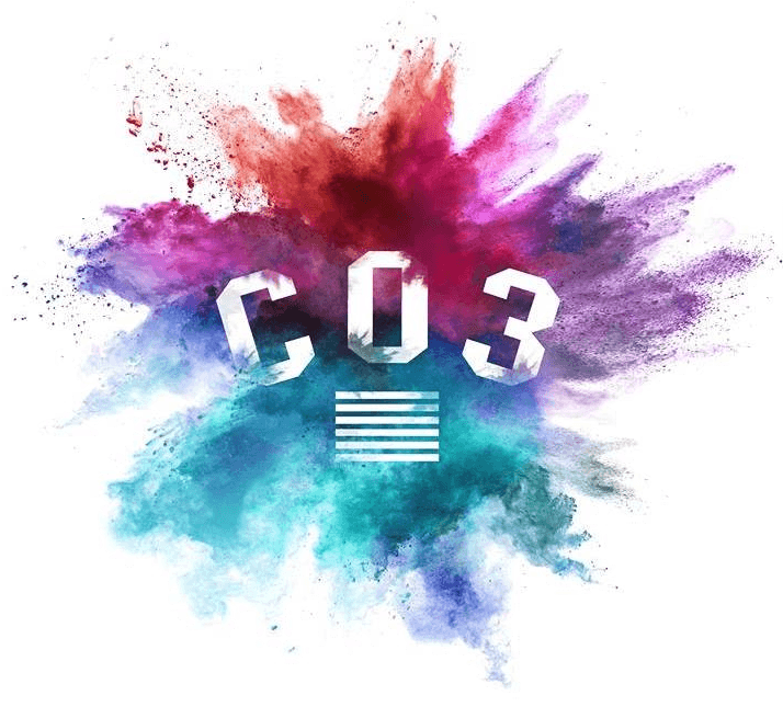Company 3