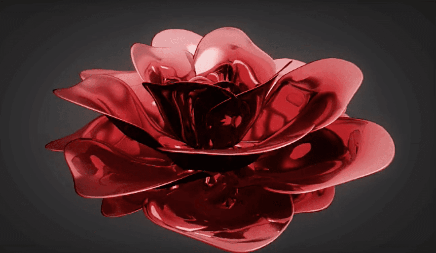 Aphorism: The petal becomes a flower