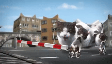 Welcome to Kitty City