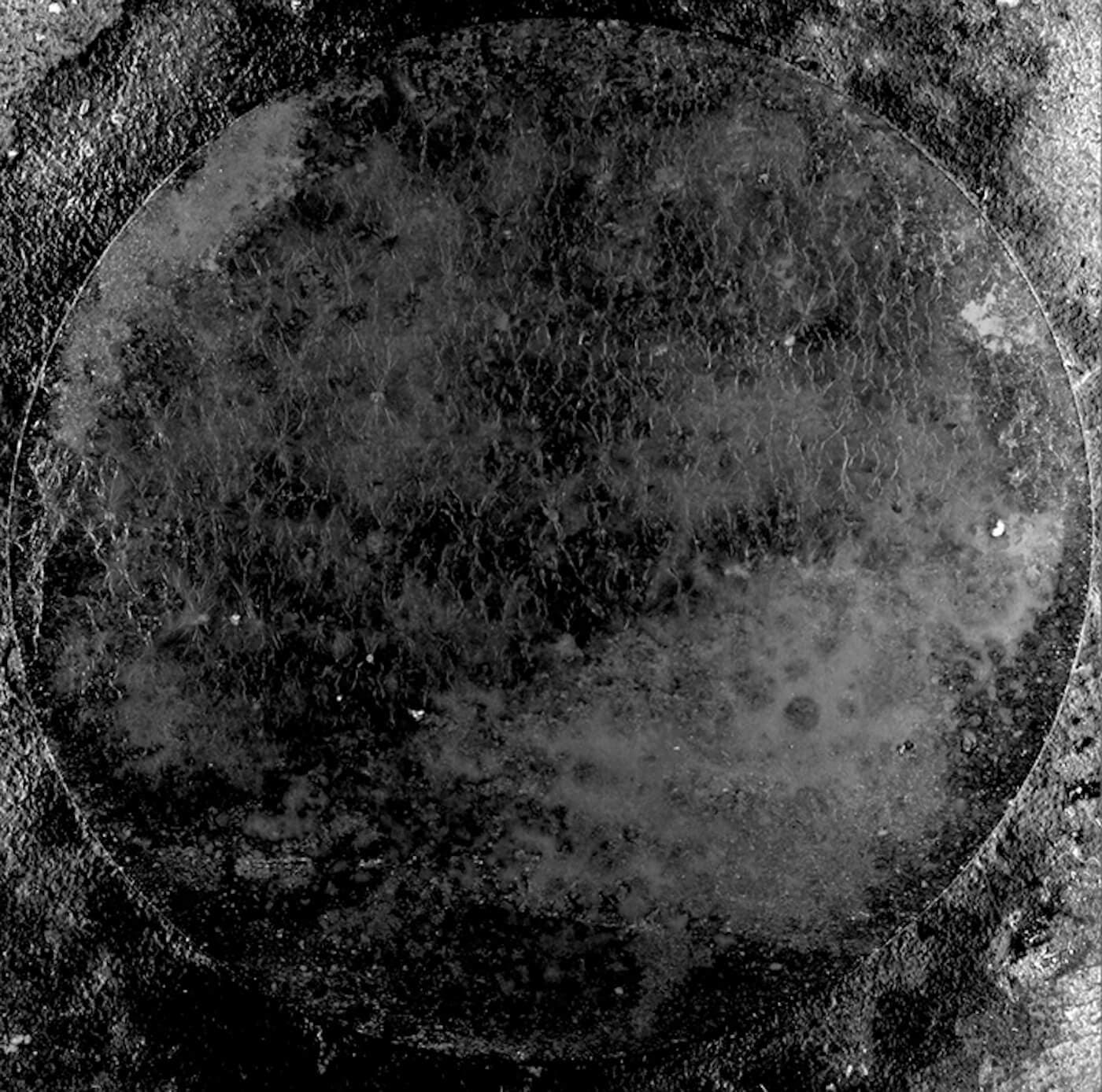 HVOB - Tender Skin