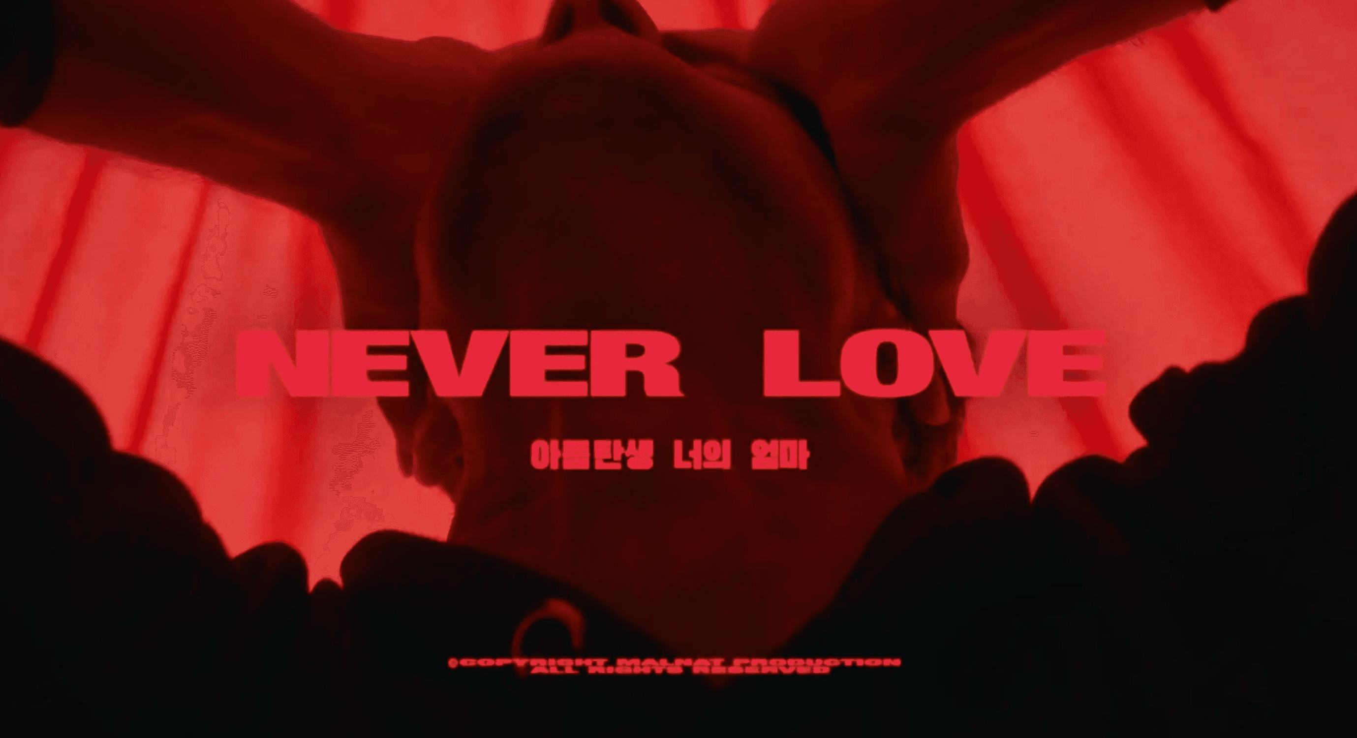 Never Love