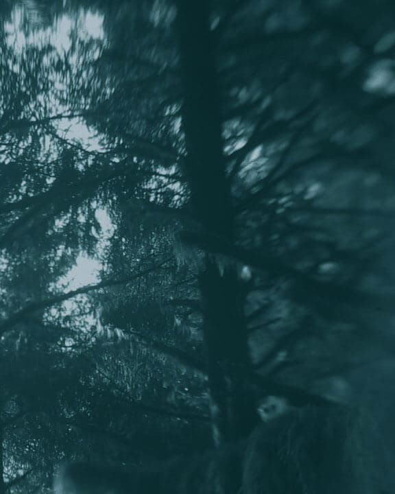 Peter Broderick - Up Niek Mountain