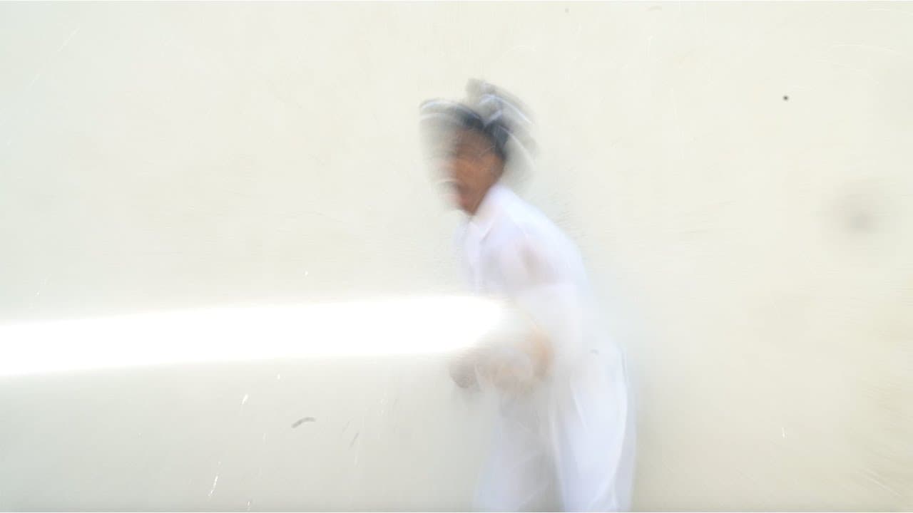 Santigold - Shake