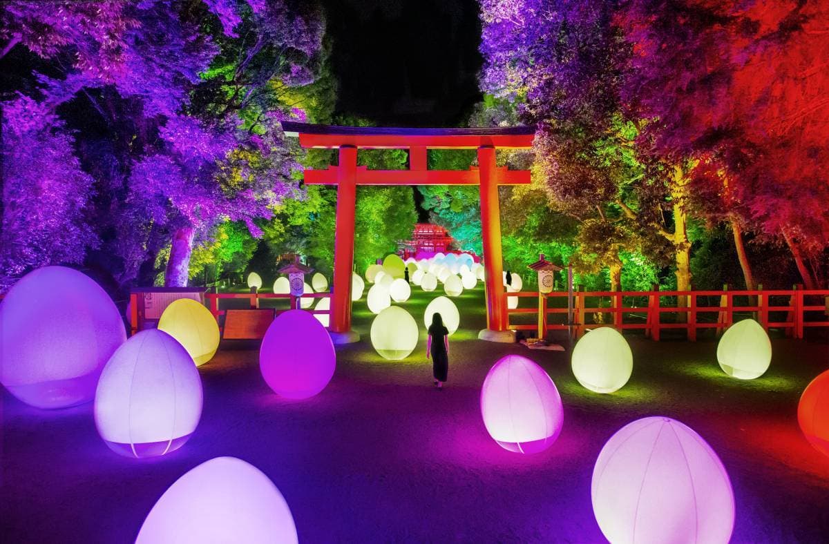 Digitized Forest at the World Heritage Site of Shimogamo Shrine