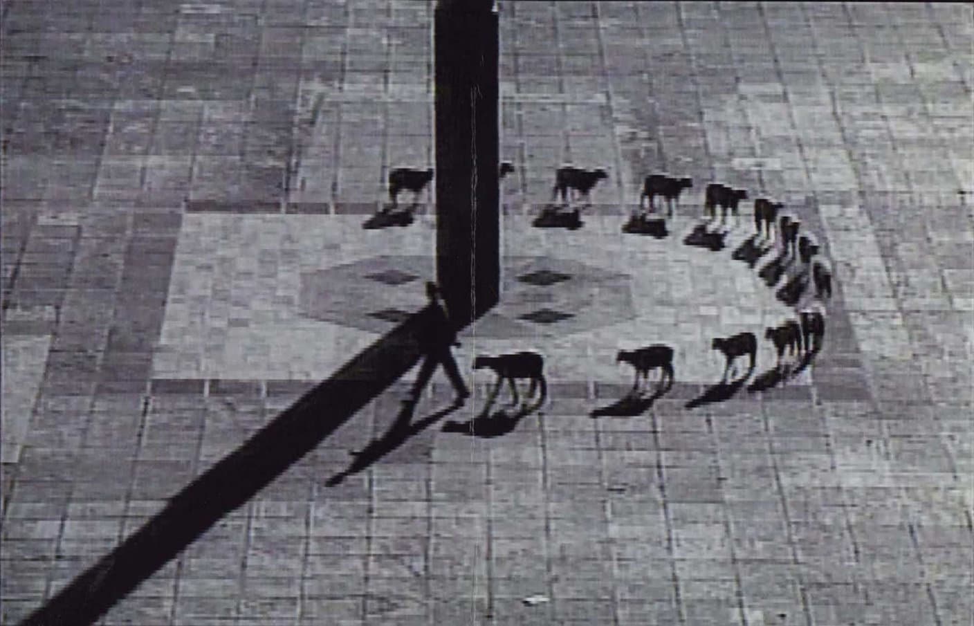 Cuentos patriótico 1997