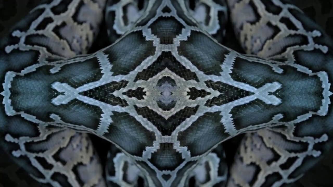 Nicola Cruz - Tzantza