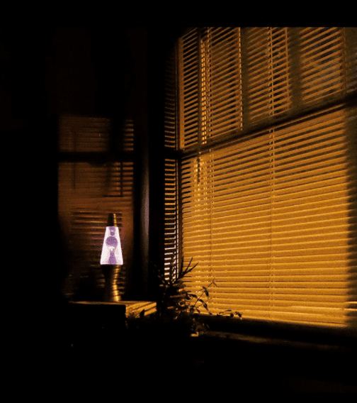 Windowspeak - Dog
