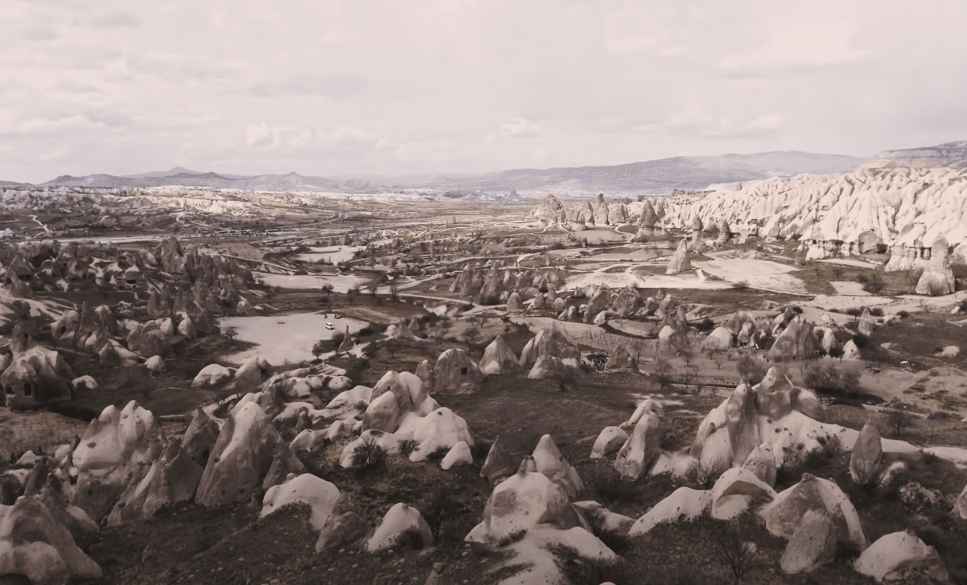 THYLACINE - Anatolia