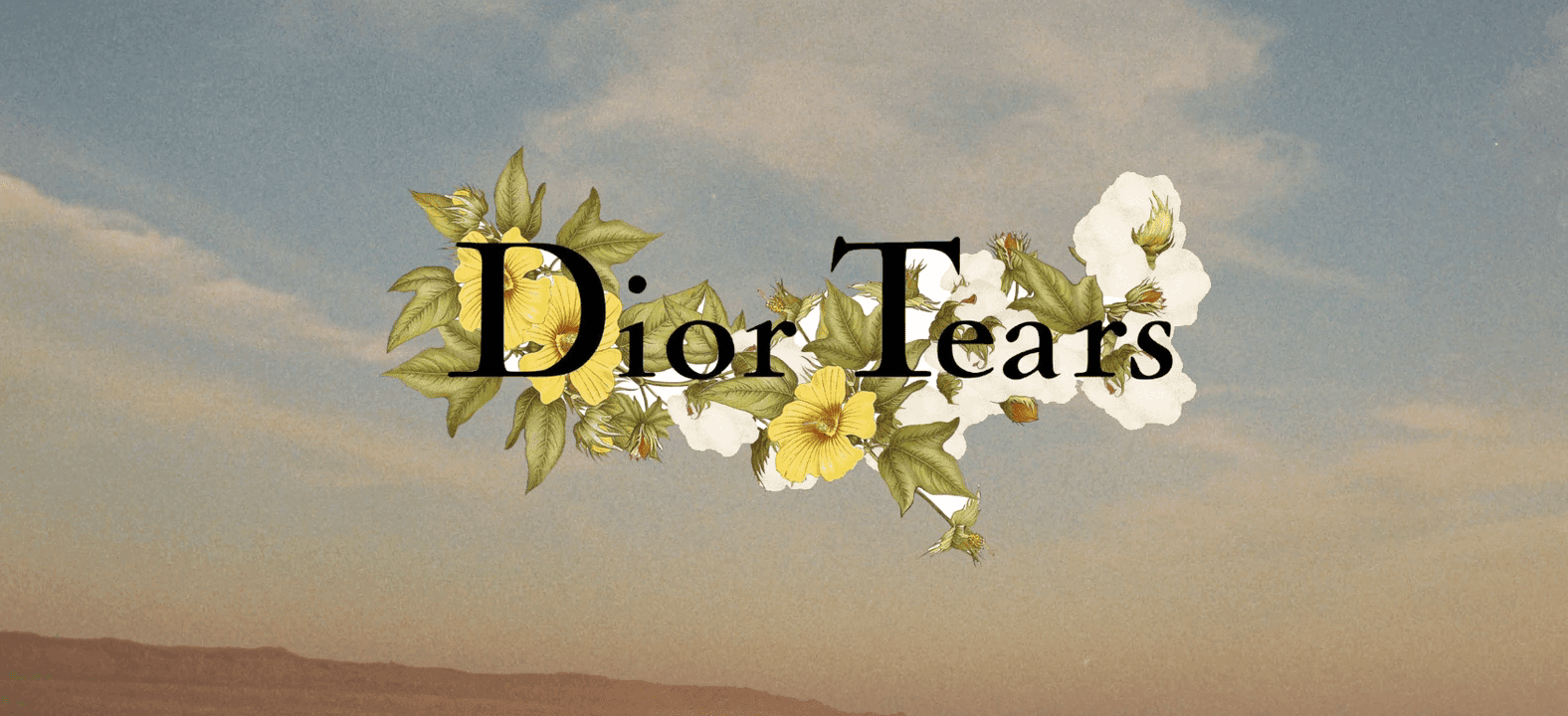 DIOR [DIORTEARS]