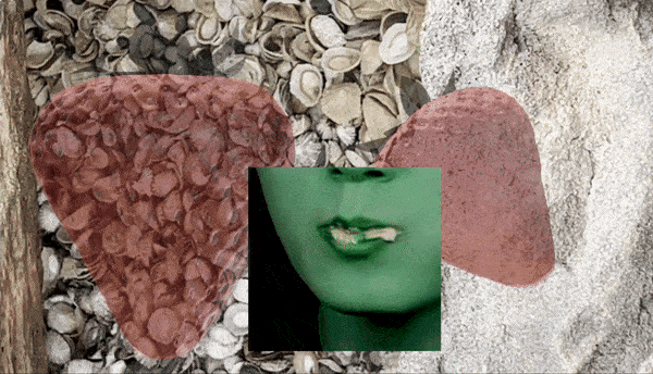 Gvantsa Jishkariani’s ‘𝓘 𝓗𝓪𝓽𝓮 𝓟𝓸𝓮𝓽𝓻𝔂, 𝓸𝓻 𝓗𝓸𝔀 𝓣𝓸 𝓑𝓮 𝓗𝓪𝓹𝓹𝔂’.