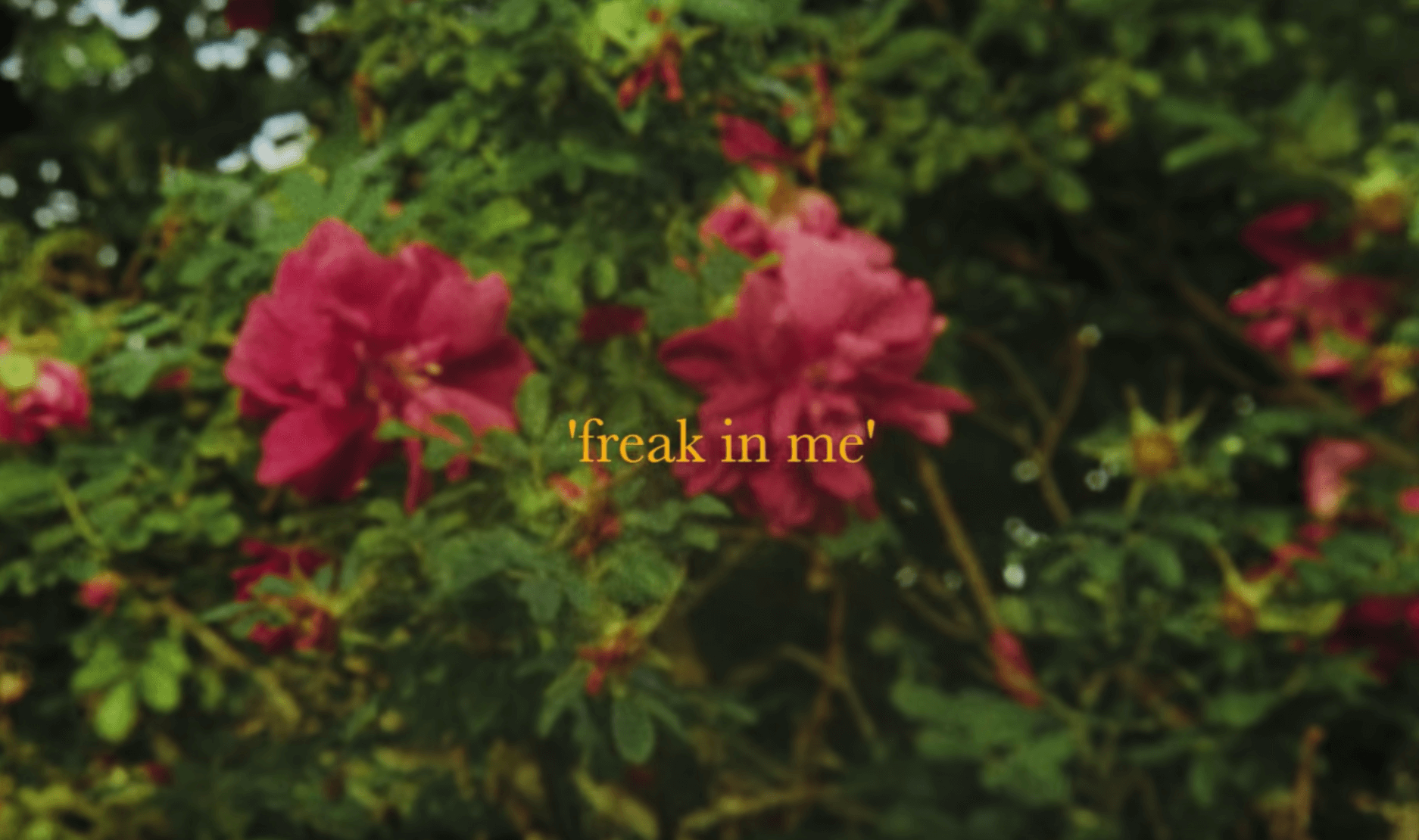 Mild Orange - Freak In Me