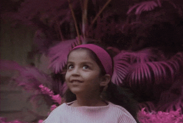 Raveena - Mystery