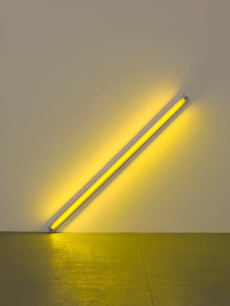 Dan Flavin - The Diagonal of May 25, 1963