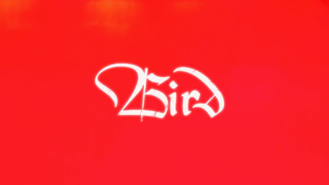 BIRD OF PARADISE