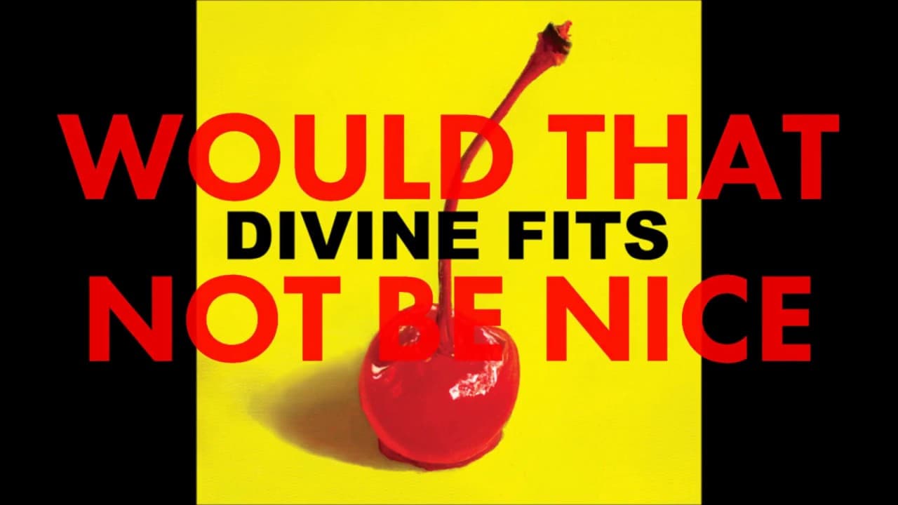 Divine Fits - Would That Not Be Nice