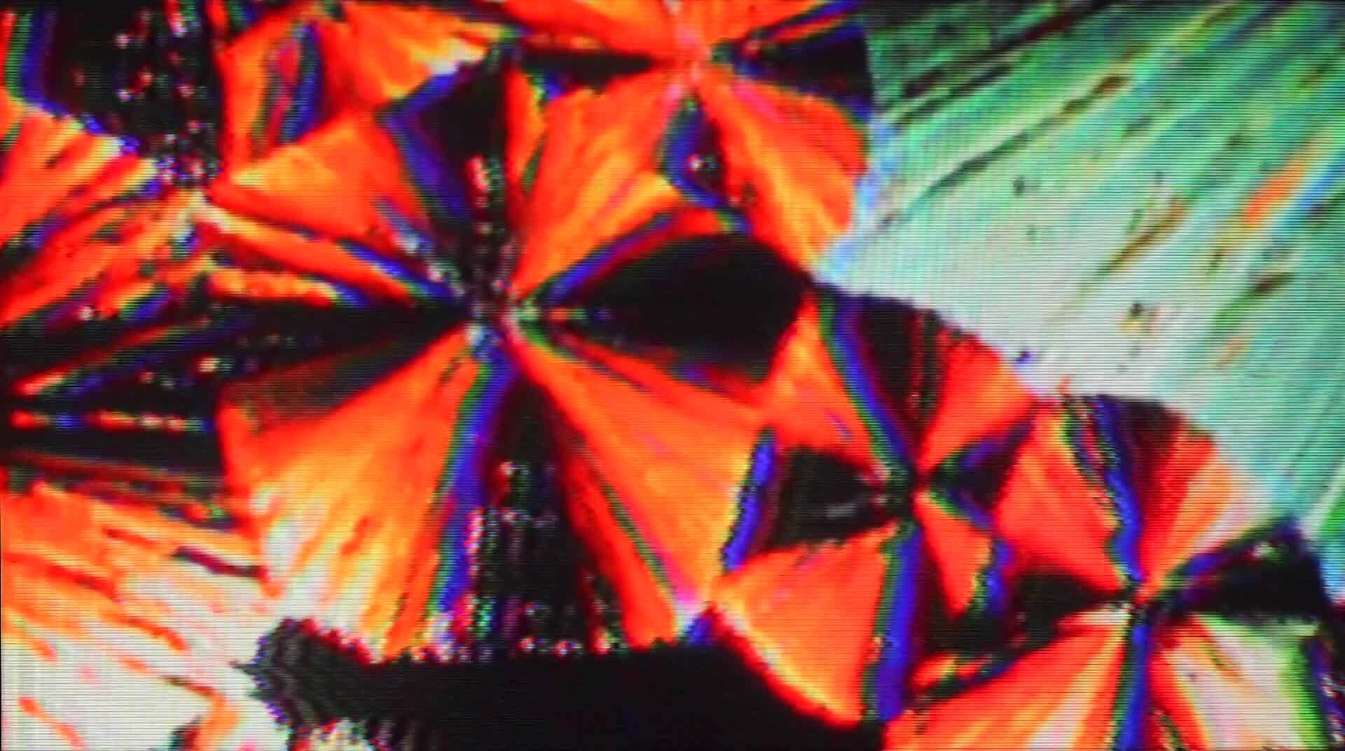 Shura - The Space Tapes