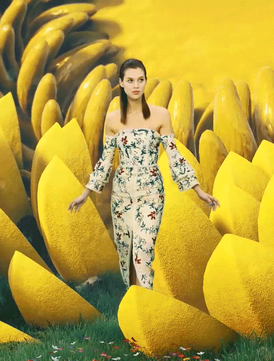 Summer In Bloom