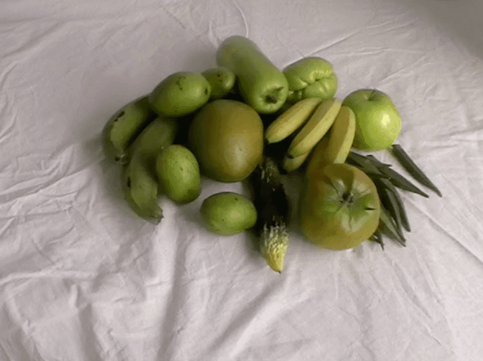 VERDE for Paloma Wool