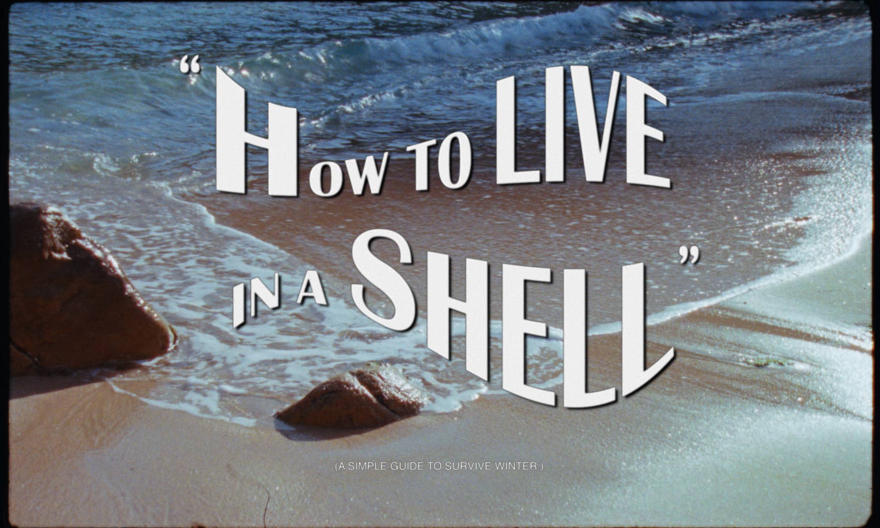 Gimaguas - How To Live In A Shell