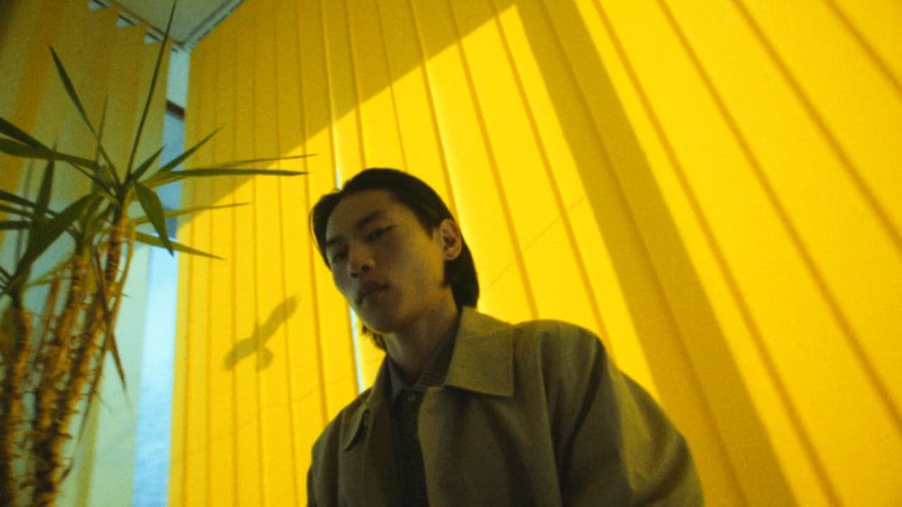 BARACUTA FW19