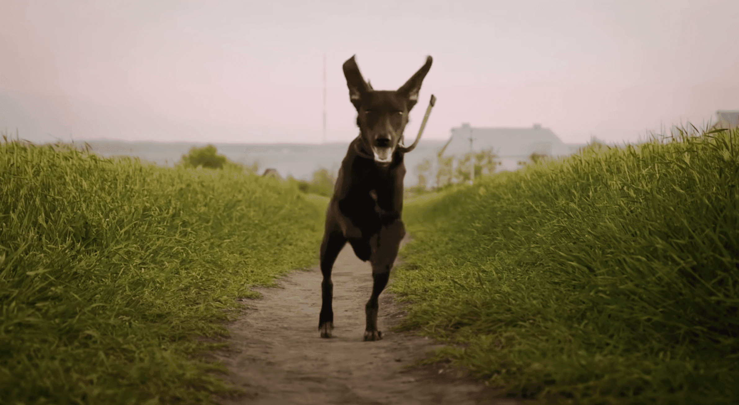 Caribou - You Can Do It