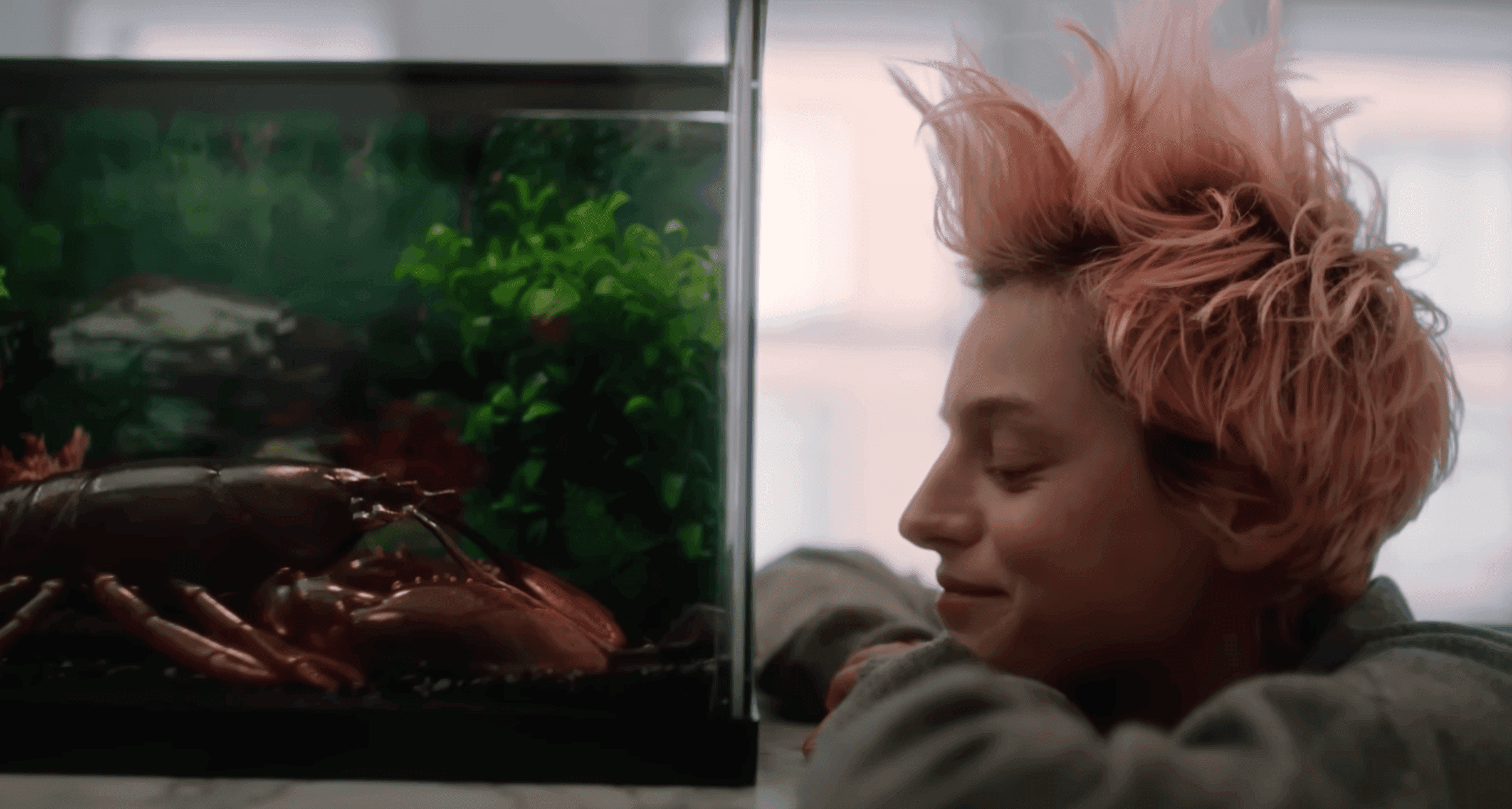 An Ode to Lobster Love