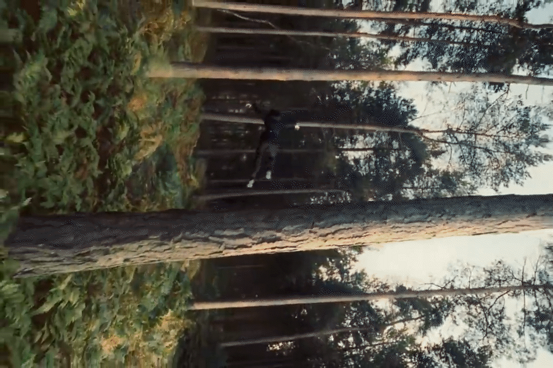 Burberry Open Spaces Film