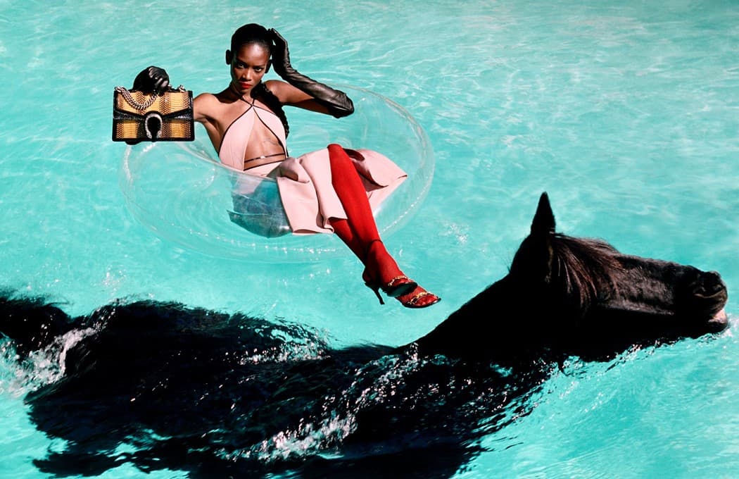 Gucci Of Course a Horse