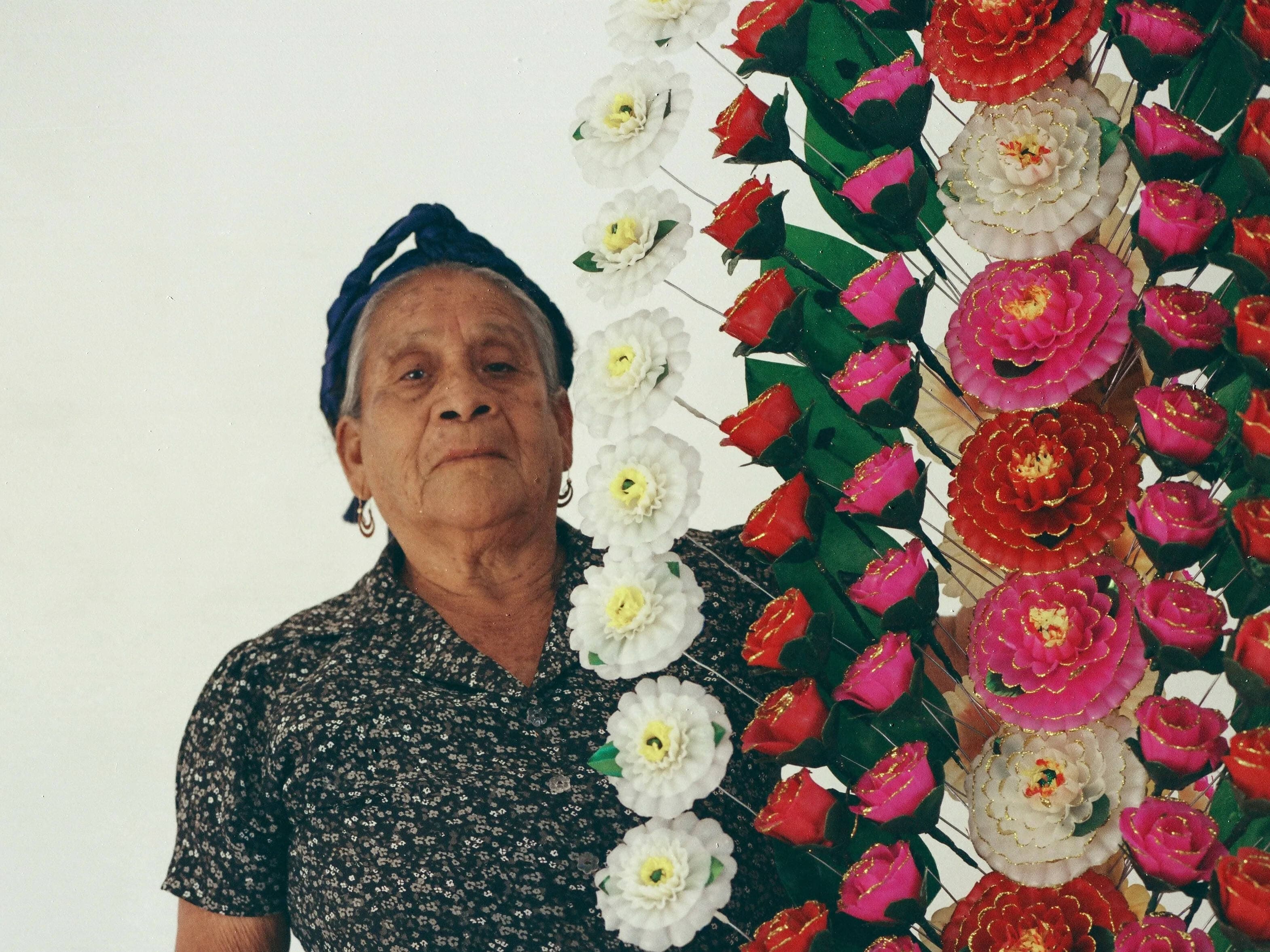 Casa Viviana